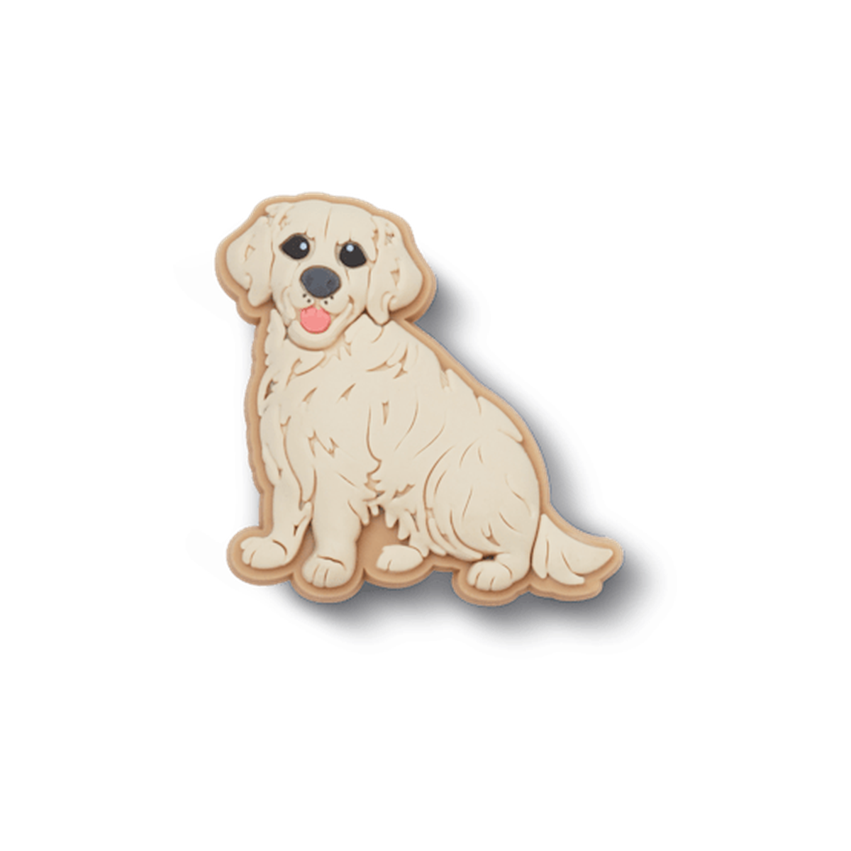 Golden Retriever Puppy