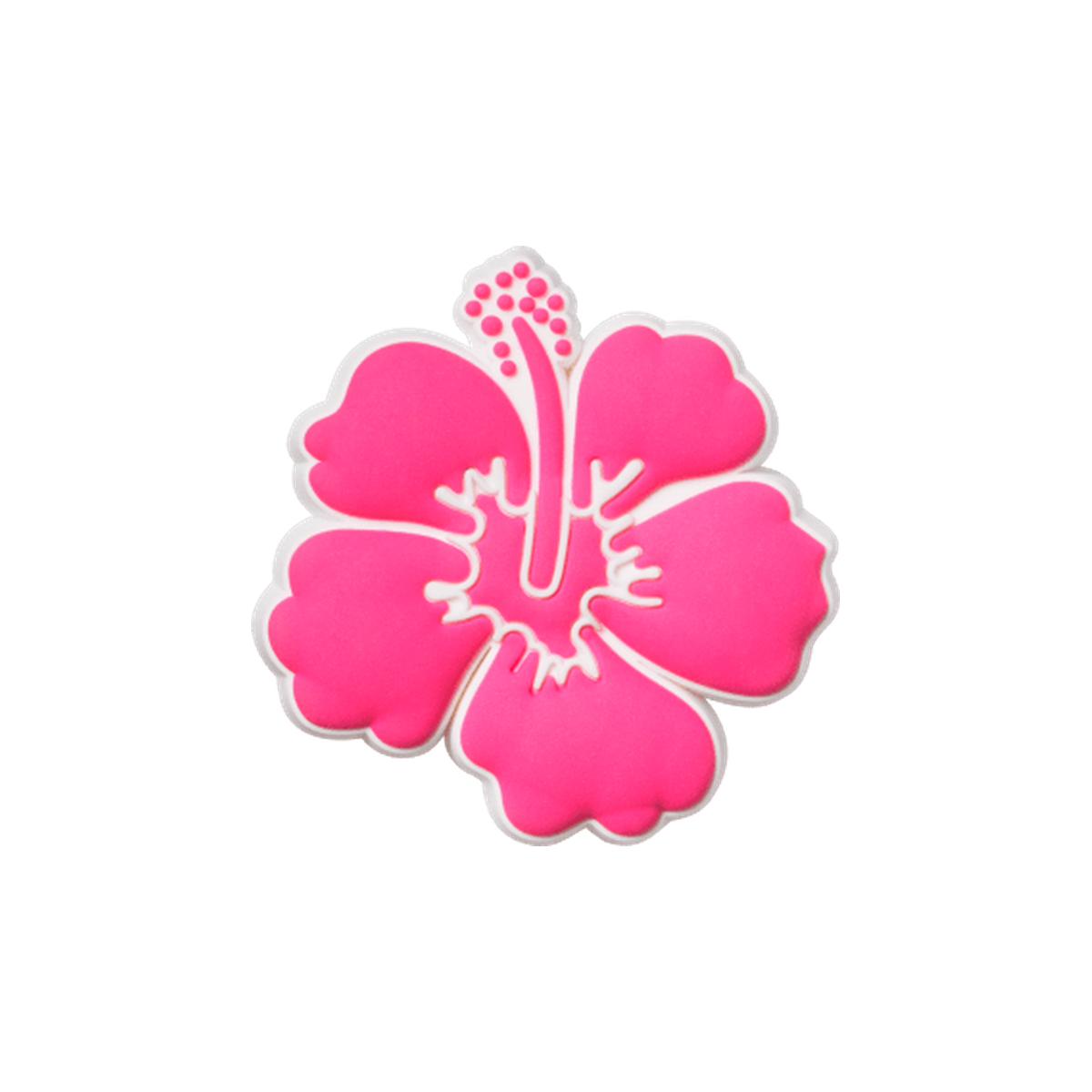 Pink Hibiscus