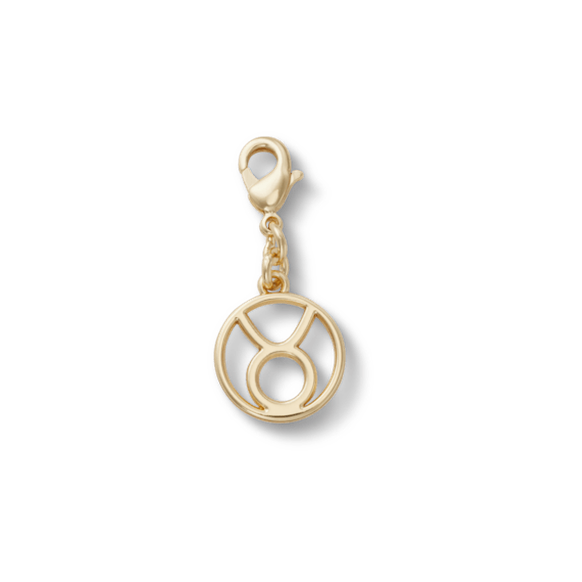 Taurus Charm