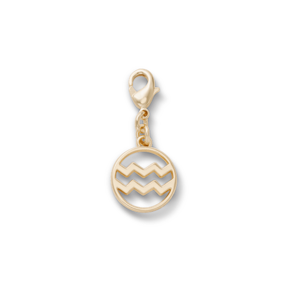 Aquarius Charm
