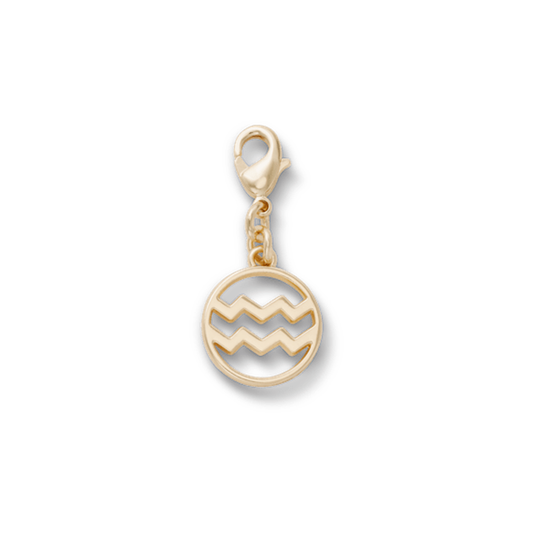 Aquarius Charm