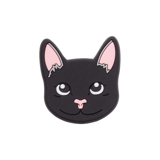 Black Cat