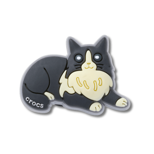 New Black Cat With Boots