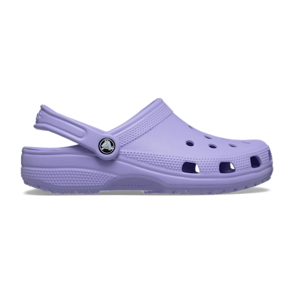 Tiny Darling Daisy - Mystic Purple