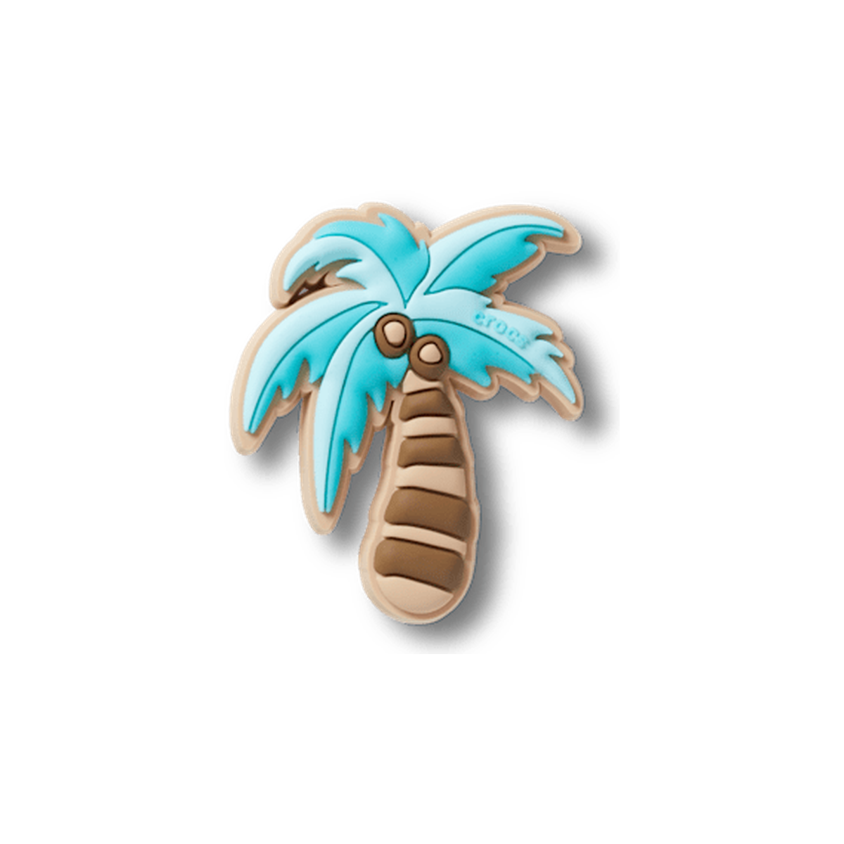 New Coconut Palm Tree