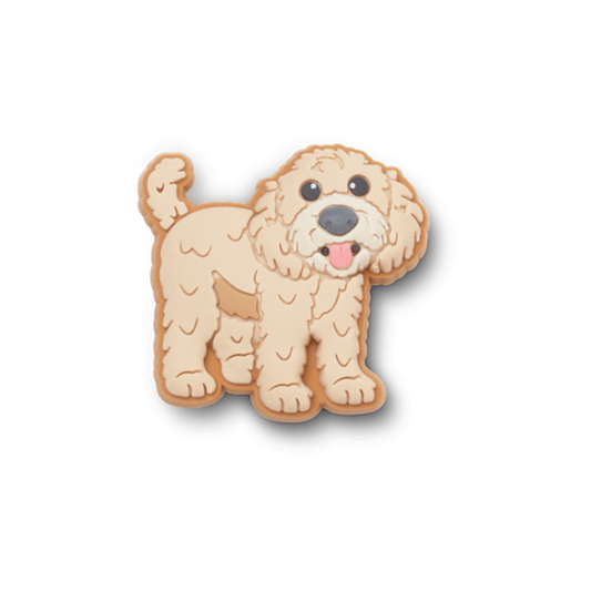 Golden Doodle Puppy