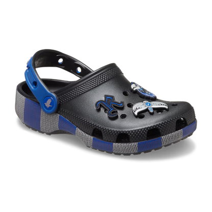 Crocs Kids' Harry Potter Ravenclaw Classic Clog ALT140