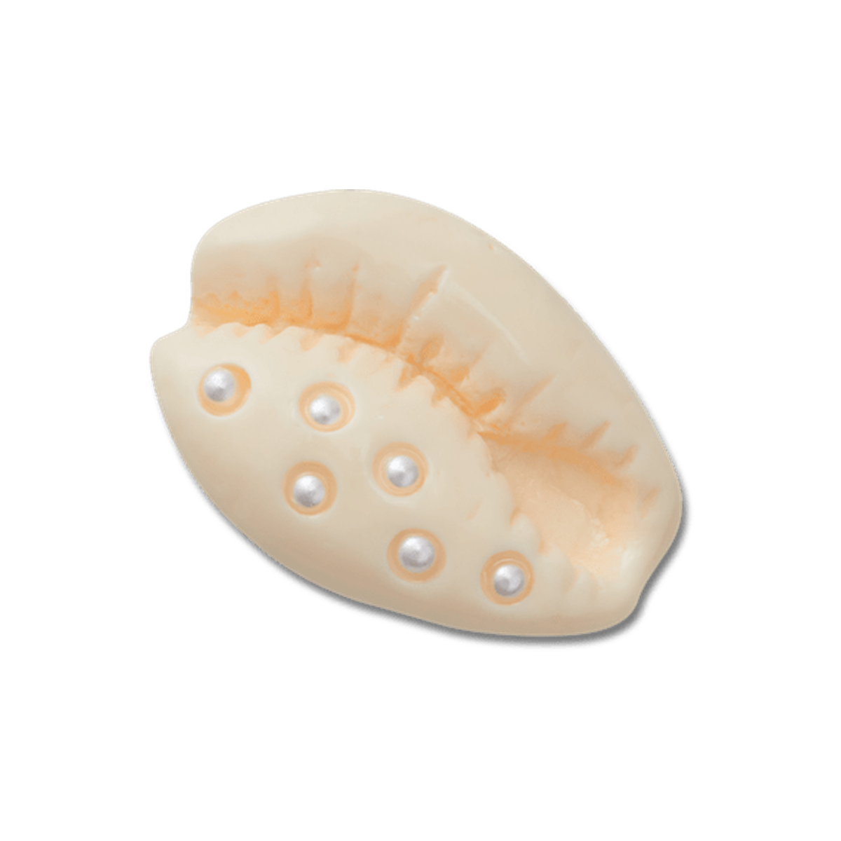 Pearl Puka Shell