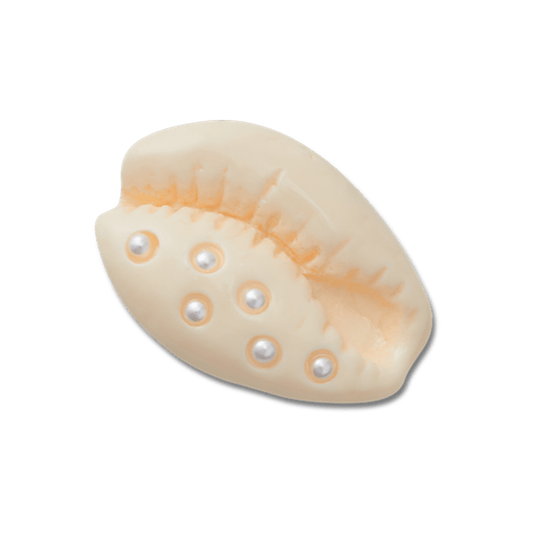 Pearl Puka Shell