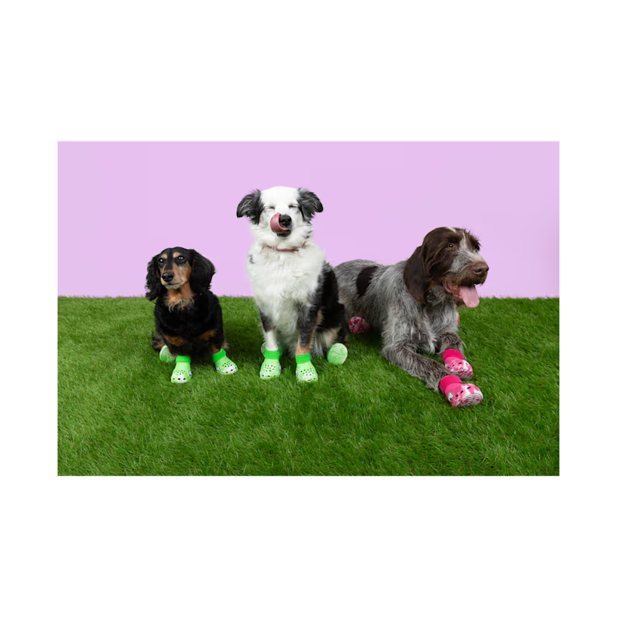 Crocs Pet Crocs Boots ALT110