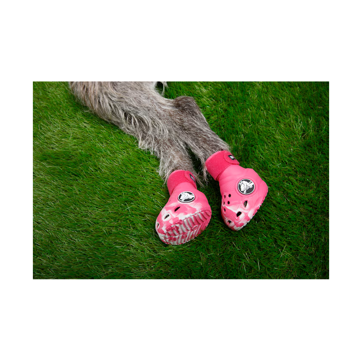 crocs-gallery-color:dragon fruit; color:Dragon Fruit; alt:ALT140; file:211352_6ZQ-ALT140
