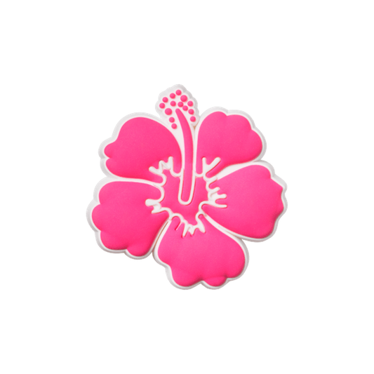 Pink Hibiscus