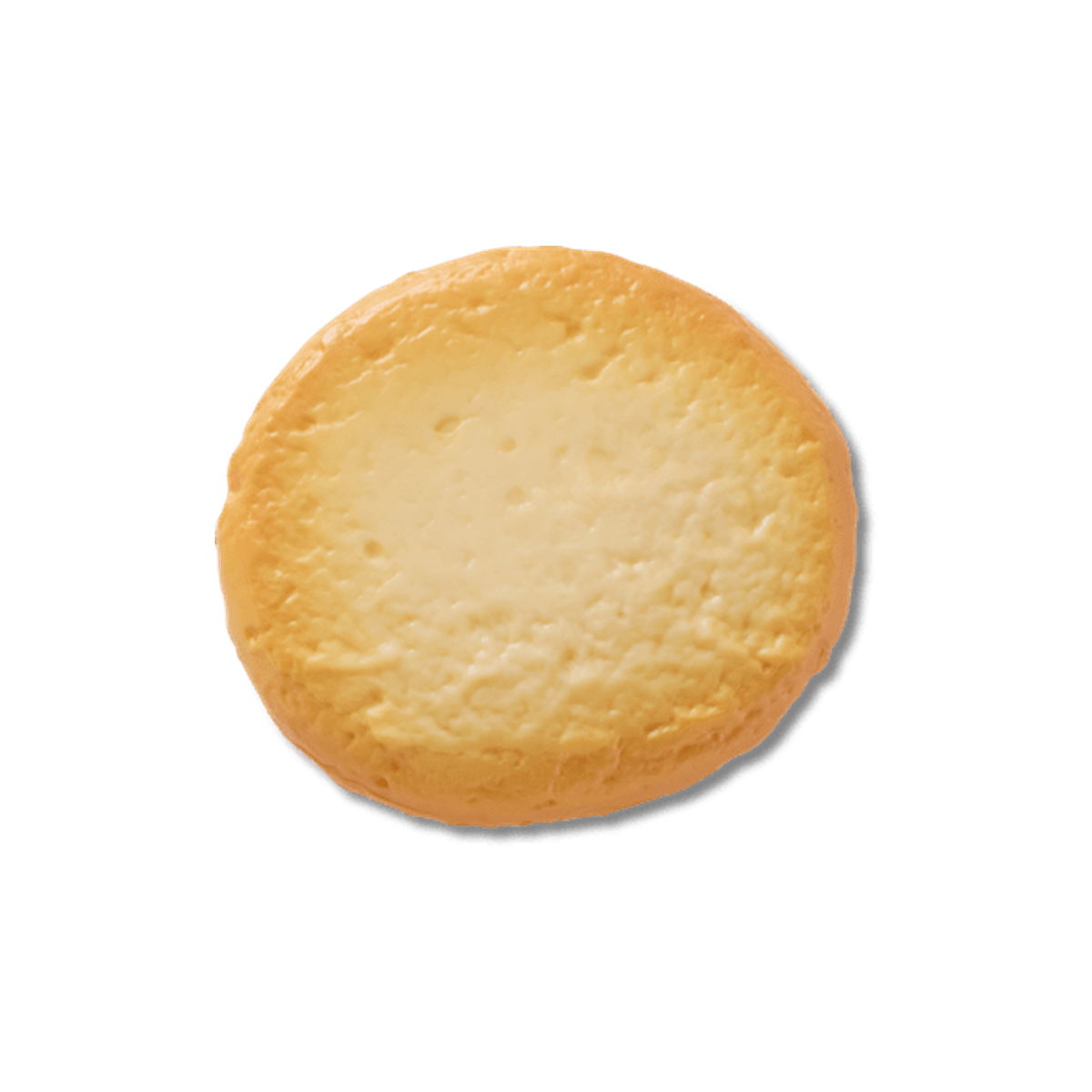 Realistic Cookie 1