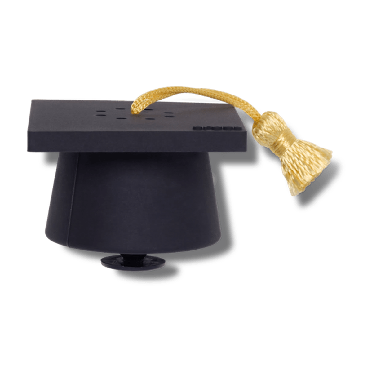 New RecordYourOwnSoundGraduation