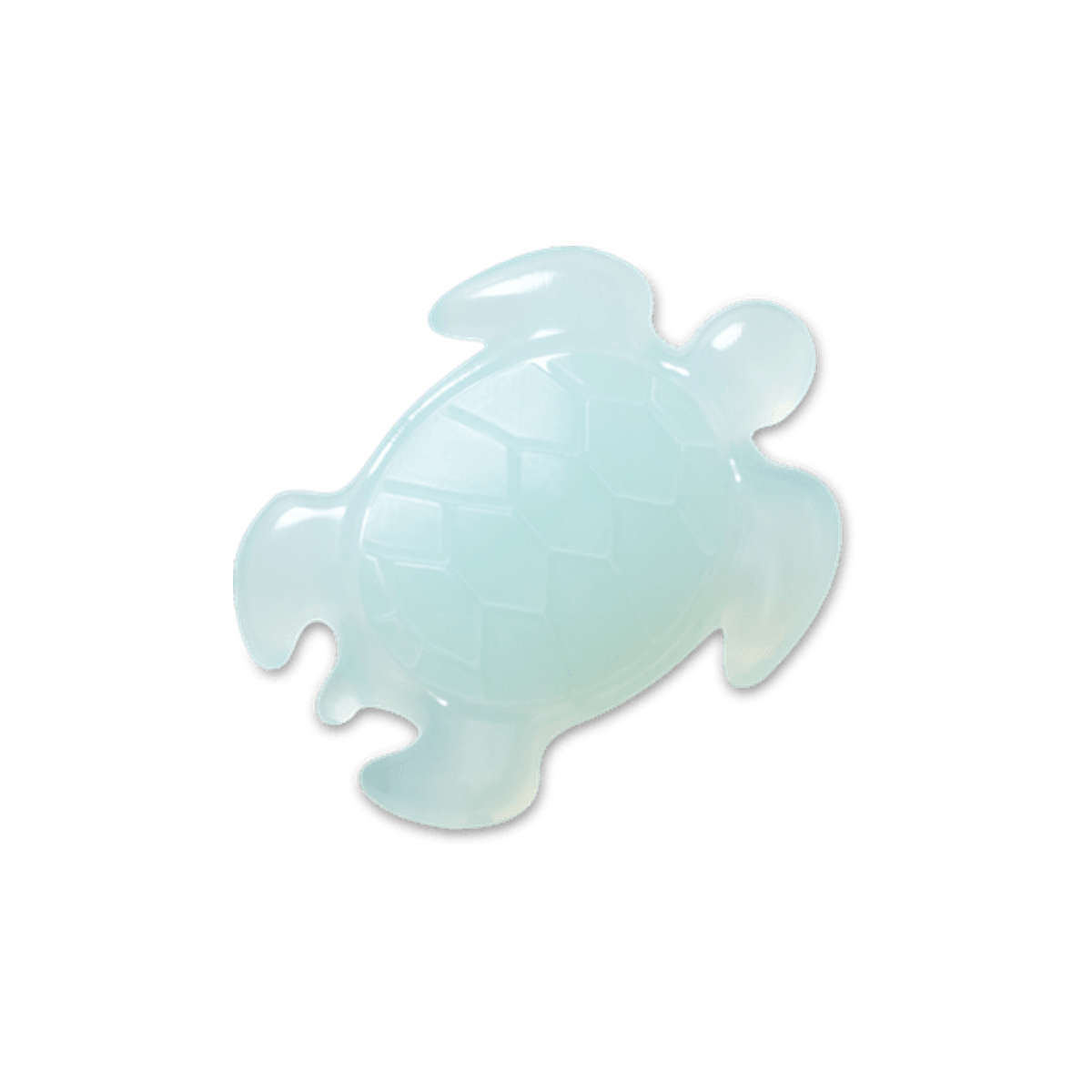 Light Blue Turtle