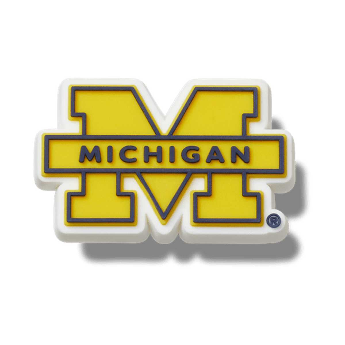 University of Michigan