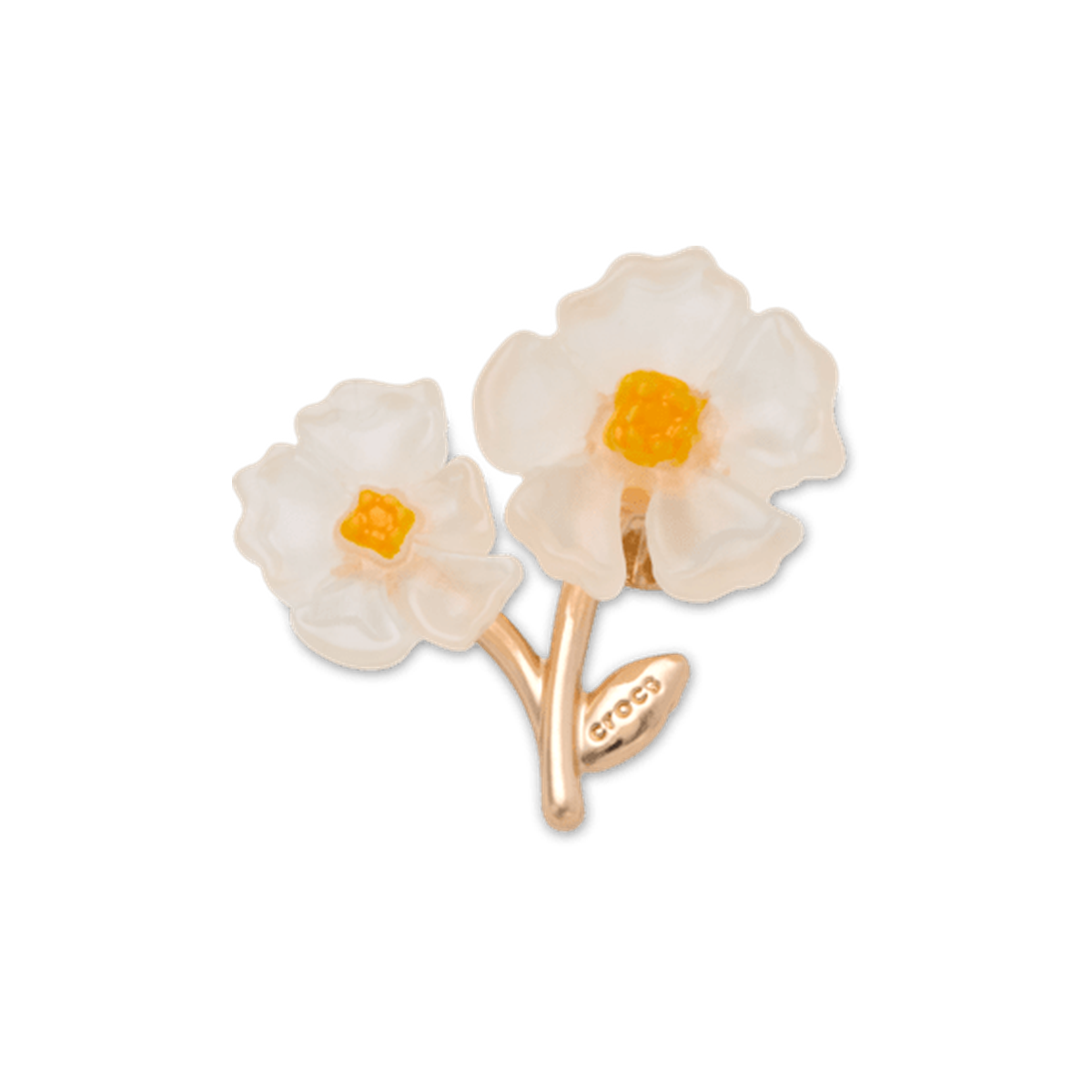 New White Floral Blossom